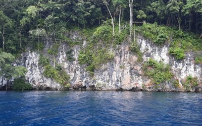 Dinding Sesar Waturere