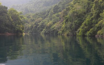 Pulau Bure / Ampat