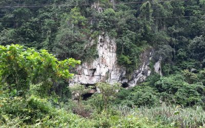 Gua Batu Gamping Andomo