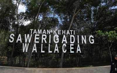 Biosite Taman Kehati Sawerigading Wallacea