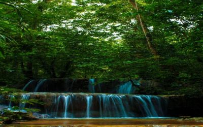 Biosite Cagar Alam (CA) Ponda-ponda