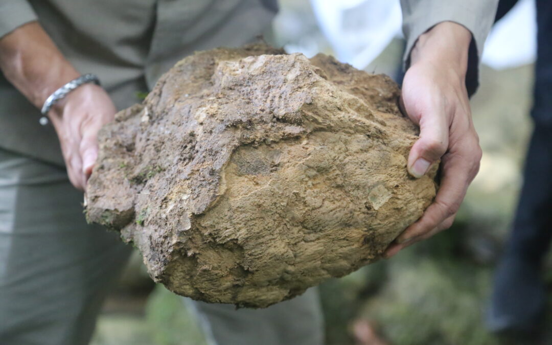 Travertine Tompotikka