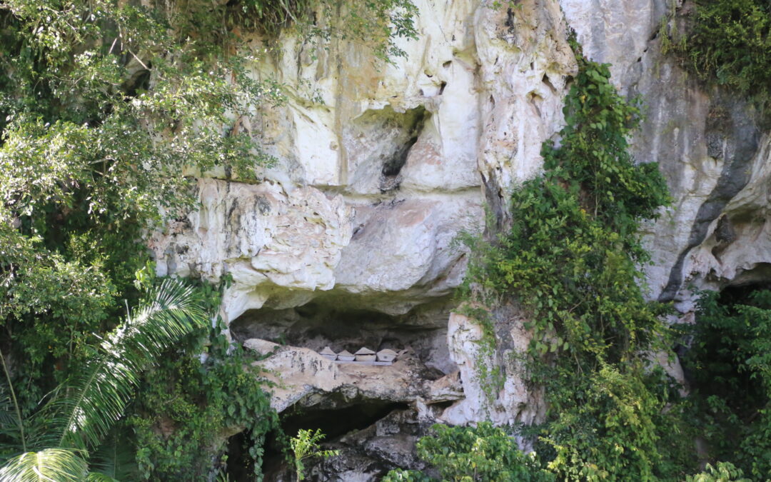 Gua Batugamping Andomo