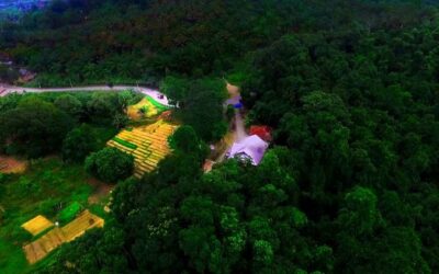 Biosite Pengelollan Hutan (PH) Kalaena